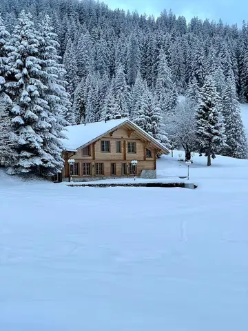 Ski-Slope Chalet - 7 Bedrooms with Private Sauna photo 3